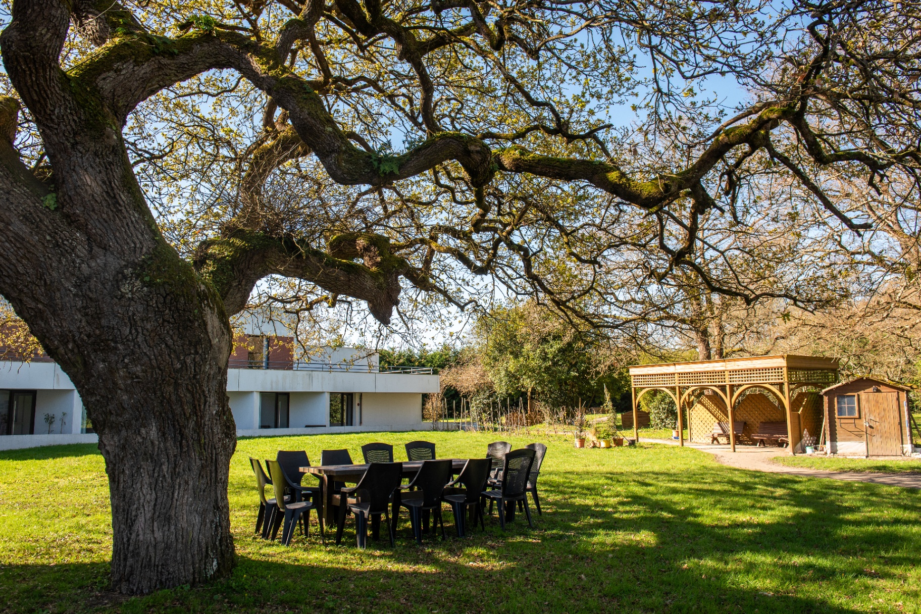 Le parc arboré de la résidence avec ses chênes et espaces de détente